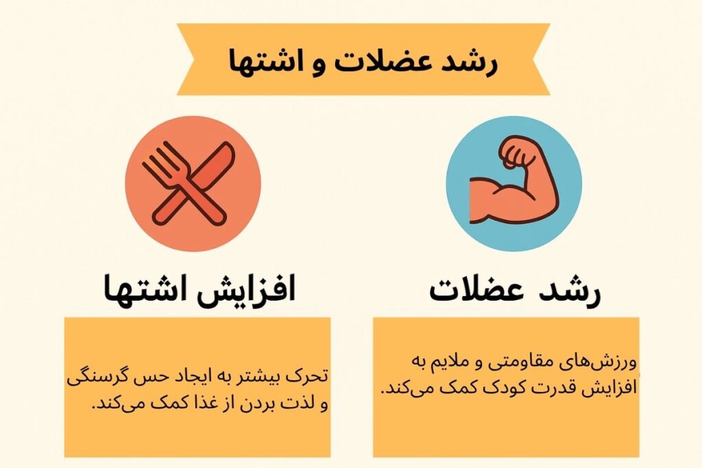 رشد عضلات و افزایش قدرت بدنی